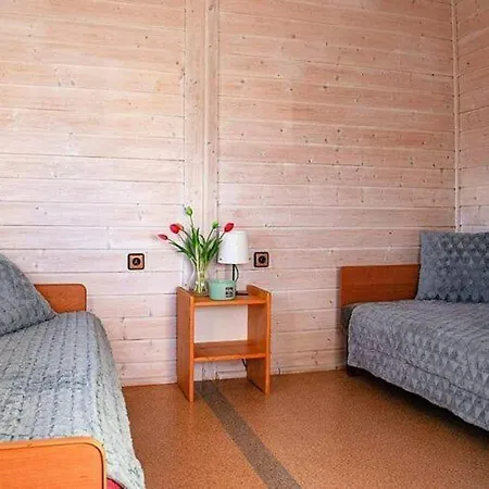 펜션 New Homes For 3 People In 드지우노웨크